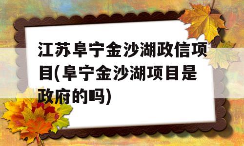 江苏阜宁金沙湖政信项目(阜宁金沙湖项目是政府的吗)