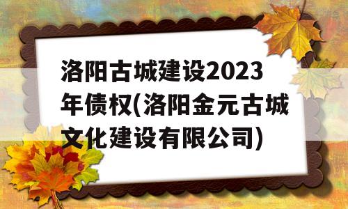 洛阳古城建设2023年债权(洛阳金元古城文化建设有限公司)