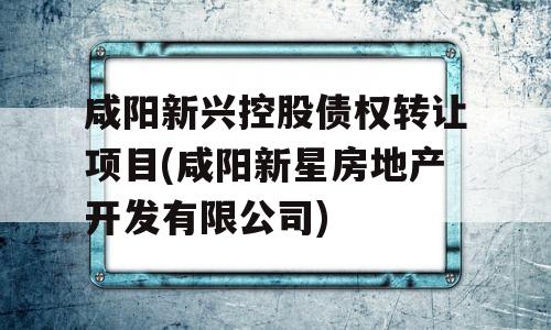 咸阳新兴控股债权转让项目(咸阳新星房地产开发有限公司)