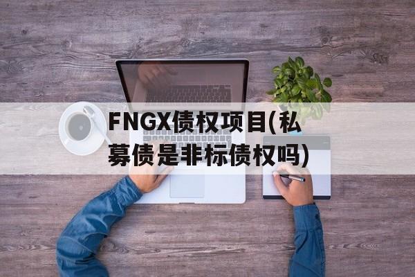 FNGX债权项目(私募债是非标债权吗)