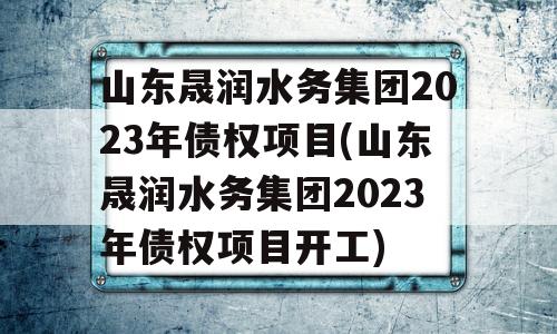 山东晟润水务集团2023年债权项目(山东晟润水务集团2023年债权项目开工)