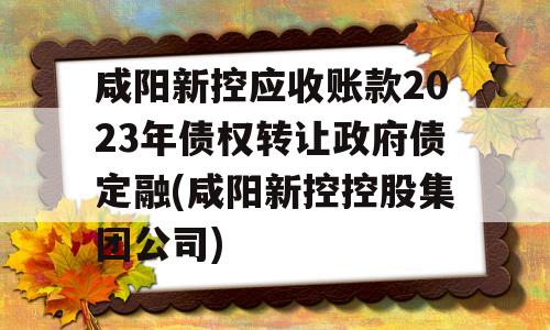 咸阳新控应收账款2023年债权转让政府债定融(咸阳新控控股集团公司)