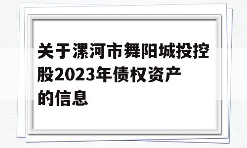 关于漯河市舞阳城投控股2023年债权资产的信息