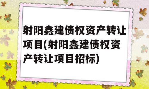 射阳鑫建债权资产转让项目(射阳鑫建债权资产转让项目招标)