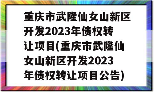 重庆市武隆仙女山新区开发2023年债权转让项目(重庆市武隆仙女山新区开发2023年债权转让项目公告)