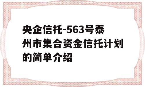 央企信托-563号泰州市集合资金信托计划的简单介绍