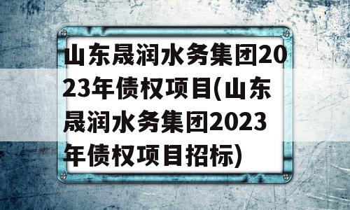 山东晟润水务集团2023年债权项目(山东晟润水务集团2023年债权项目招标)