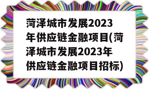 菏泽城市发展2023年供应链金融项目(菏泽城市发展2023年供应链金融项目招标)