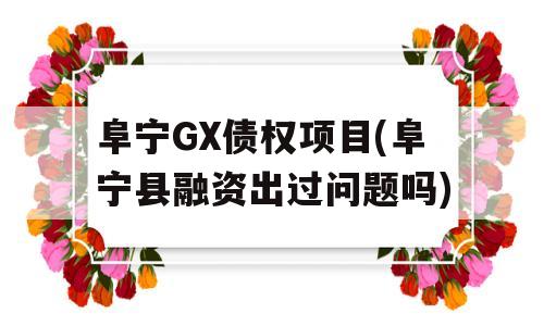 阜宁GX债权项目(阜宁县融资出过问题吗)