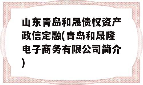 山东青岛和晟债权资产政信定融(青岛和晟隆电子商务有限公司简介)