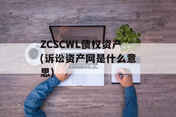 ZCSCWL债权资产(诉讼资产网是什么意思)