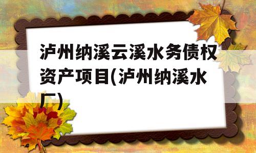 泸州纳溪云溪水务债权资产项目(泸州纳溪水厂)