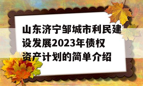 山东济宁邹城市利民建设发展2023年债权资产计划的简单介绍