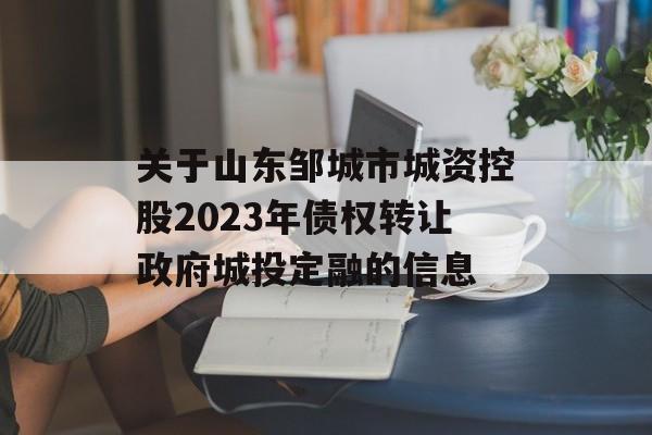 关于山东邹城市城资控股2023年债权转让政府城投定融的信息