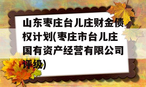 山东枣庄台儿庄财金债权计划(枣庄市台儿庄国有资产经营有限公司评级)