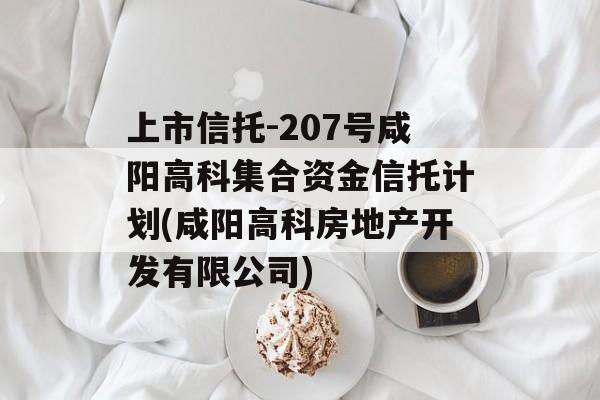 上市信托-207号咸阳高科集合资金信托计划(咸阳高科房地产开发有限公司)