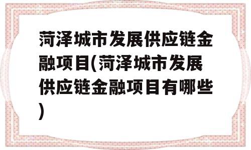 菏泽城市发展供应链金融项目(菏泽城市发展供应链金融项目有哪些)