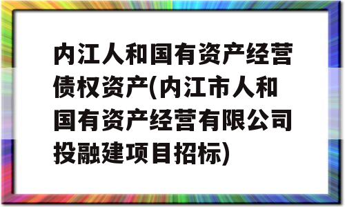 内江人和国有资产经营债权资产(内江市人和国有资产经营有限公司投融建项目招标)