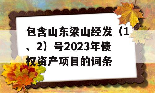 包含山东梁山经发（1、2）号2023年债权资产项目的词条