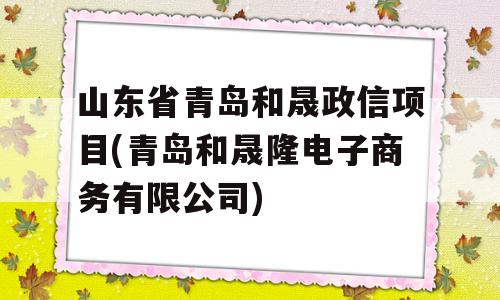 山东省青岛和晟政信项目(青岛和晟隆电子商务有限公司)