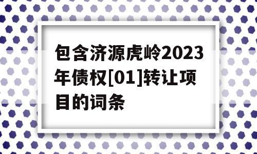 包含济源虎岭2023年债权[01]转让项目的词条