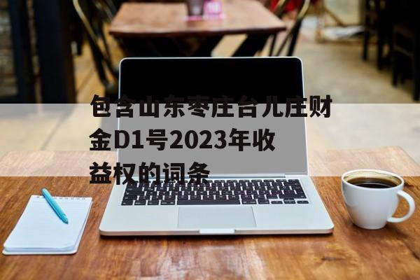 包含山东枣庄台儿庄财金D1号2023年收益权的词条