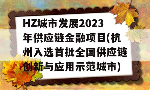 HZ城市发展2023年供应链金融项目(杭州入选首批全国供应链创新与应用示范城市)