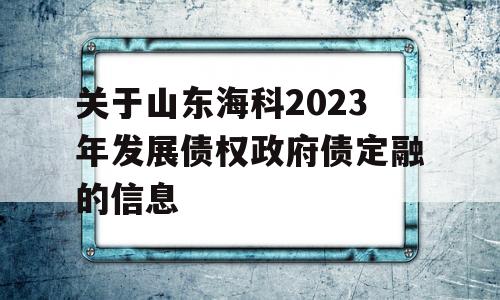 关于山东海科2023年发展债权政府债定融的信息