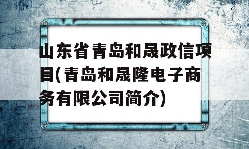 山东省青岛和晟政信项目(青岛和晟隆电子商务有限公司简介)