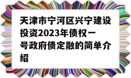 天津市宁河区兴宁建设投资2023年债权一号政府债定融的简单介绍