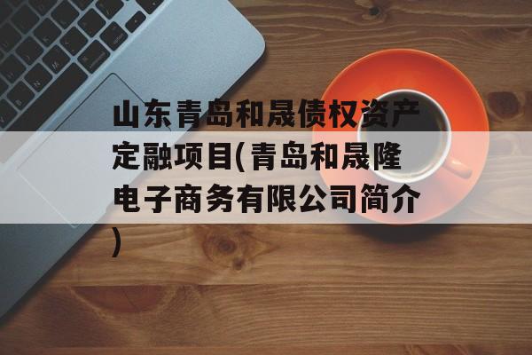 山东青岛和晟债权资产定融项目(青岛和晟隆电子商务有限公司简介)