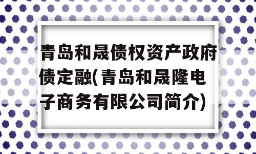 青岛和晟债权资产政府债定融(青岛和晟隆电子商务有限公司简介)