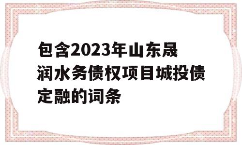 包含2023年山东晟润水务债权项目城投债定融的词条