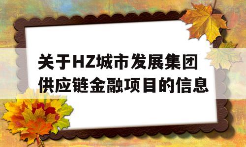 关于HZ城市发展集团供应链金融项目的信息