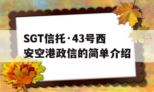 SGT信托·43号西安空港政信的简单介绍