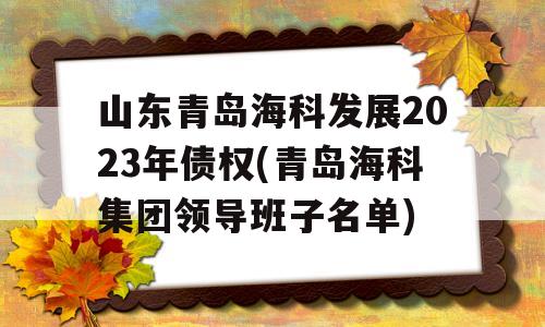 山东青岛海科发展2023年债权(青岛海科集团领导班子名单)