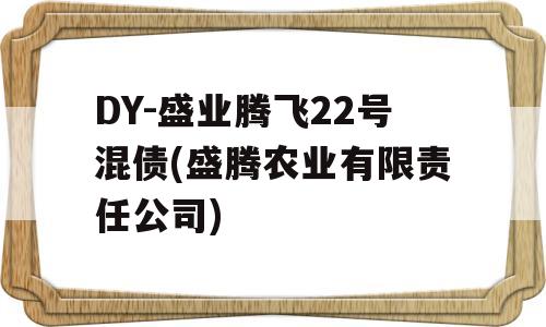 DY-盛业腾飞22号混债(盛腾农业有限责任公司)