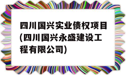 四川国兴实业债权项目(四川国兴永盛建设工程有限公司)