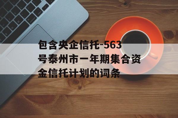 包含央企信托-563号泰州市一年期集合资金信托计划的词条