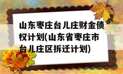 山东枣庄台儿庄财金债权计划(山东省枣庄市台儿庄区拆迁计划)