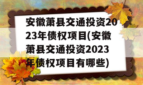 安徽萧县交通投资2023年债权项目(安徽萧县交通投资2023年债权项目有哪些)