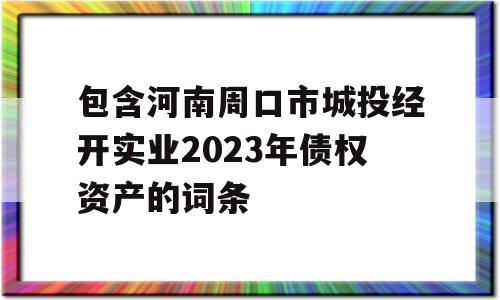 包含河南周口市城投经开实业2023年债权资产的词条