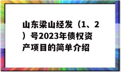 山东梁山经发（1、2）号2023年债权资产项目的简单介绍