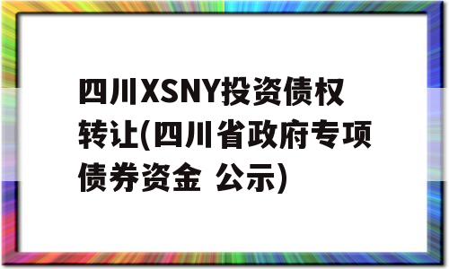 四川XSNY投资债权转让(四川省政府专项债券资金 公示)