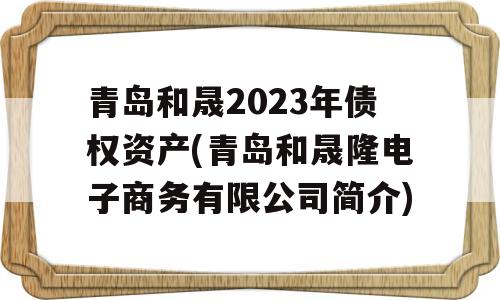 青岛和晟2023年债权资产(青岛和晟隆电子商务有限公司简介)