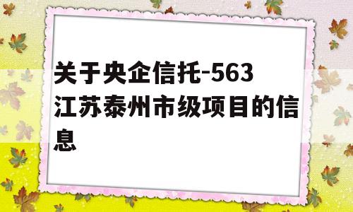 关于央企信托-563江苏泰州市级项目的信息