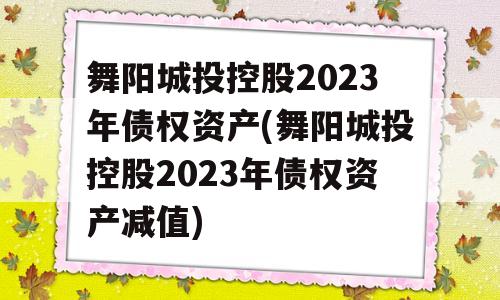 舞阳城投控股2023年债权资产(舞阳城投控股2023年债权资产减值)