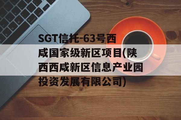 SGT信托-63号西咸国家级新区项目(陕西西咸新区信息产业园投资发展有限公司)