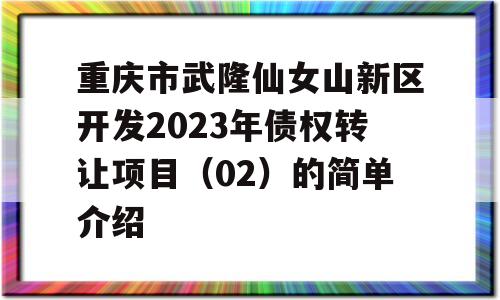 重庆市武隆仙女山新区开发2023年债权转让项目（02）的简单介绍