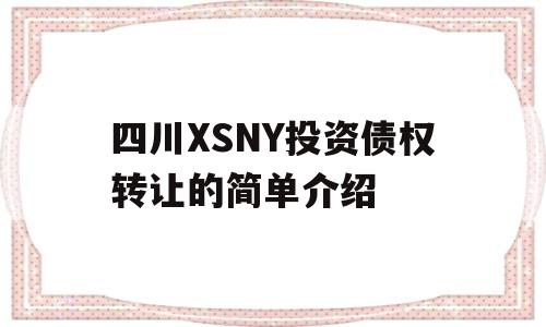 四川XSNY投资债权转让的简单介绍